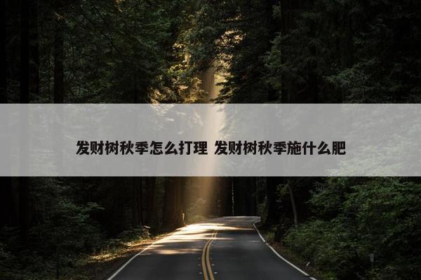 发财树秋季怎么打理 发财树秋季施什么肥