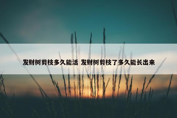 发财树剪枝多久能活 发财树剪枝了多久能长出来