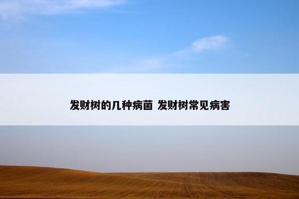 发财树的几种病菌 发财树常见病害