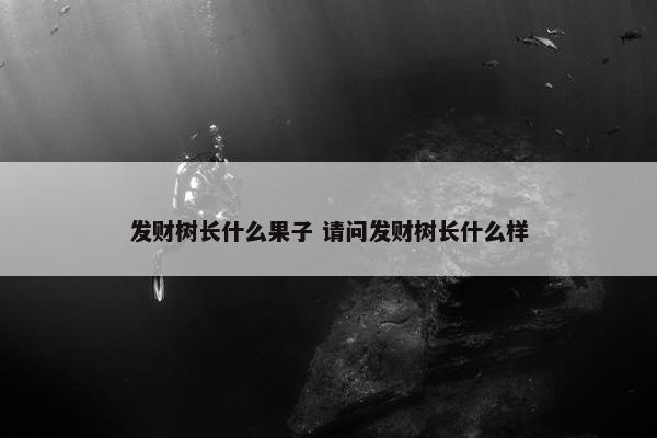 发财树长什么果子 请问发财树长什么样