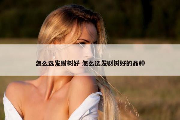 怎么选发财树好 怎么选发财树好的品种