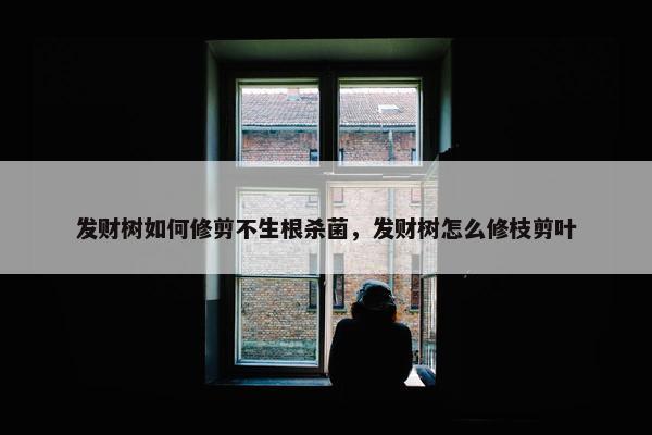 发财树如何修剪不生根杀菌，发财树怎么修枝剪叶