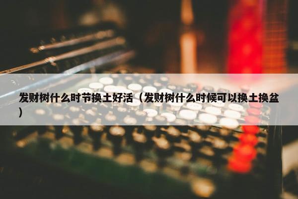 发财树什么时节换土好活（发财树什么时候可以换土换盆）