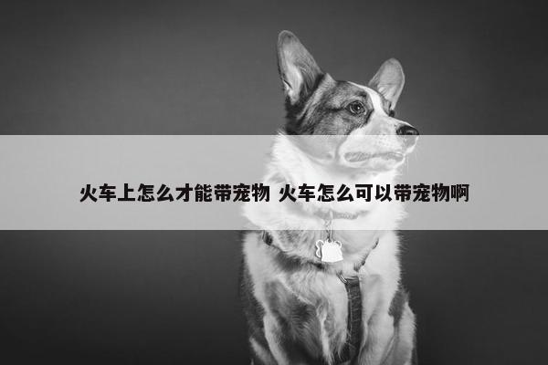 火车上怎么才能带宠物 火车怎么可以带宠物啊