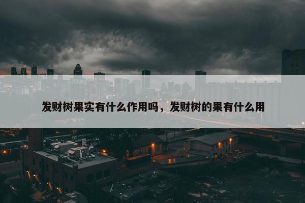 发财树果实有什么作用吗，发财树的果有什么用