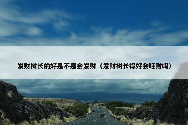 发财树长的好是不是会发财（发财树长得好会旺财吗）