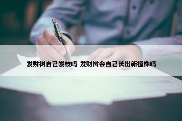 发财树自己发枝吗 发财树会自己长出新植株吗