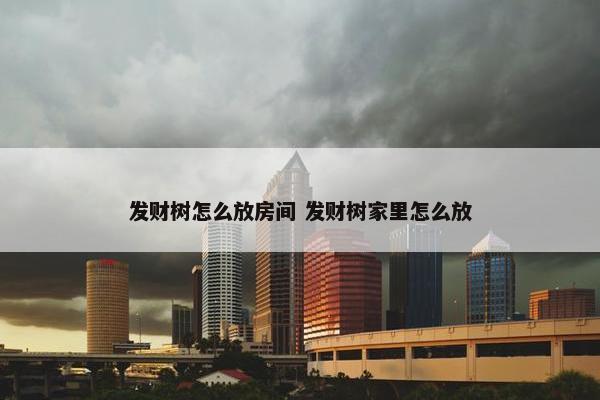 发财树怎么放房间 发财树家里怎么放