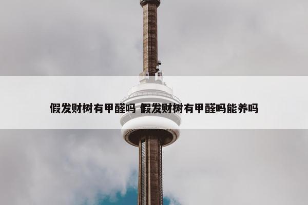 假发财树有甲醛吗 假发财树有甲醛吗能养吗