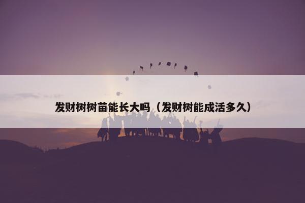 发财树树苗能长大吗（发财树能成活多久）