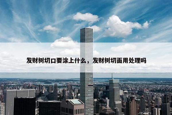 发财树切口要涂上什么，发财树切面用处理吗