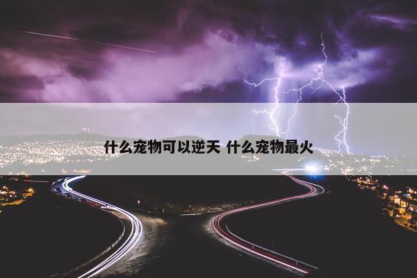 什么宠物可以逆天 什么宠物最火