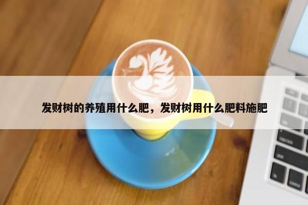 发财树的养殖用什么肥，发财树用什么肥料施肥