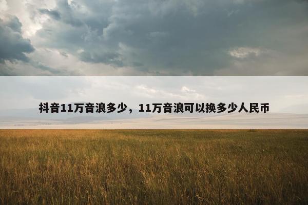 抖音11万音浪多少，11万音浪可以换多少人民币