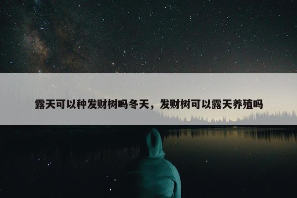 露天可以种发财树吗冬天，发财树可以露天养殖吗