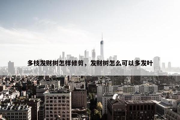 多枝发财树怎样修剪，发财树怎么可以多发叶