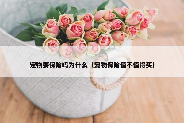 宠物要保险吗为什么（宠物保险值不值得买）