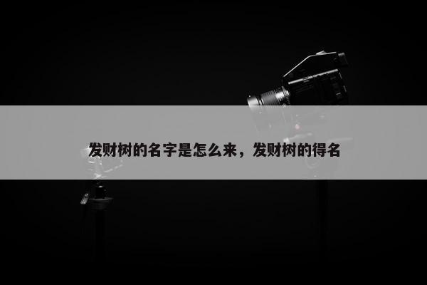 发财树的名字是怎么来，发财树的得名