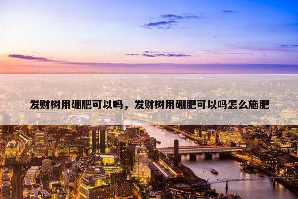 发财树用硼肥可以吗，发财树用硼肥可以吗怎么施肥