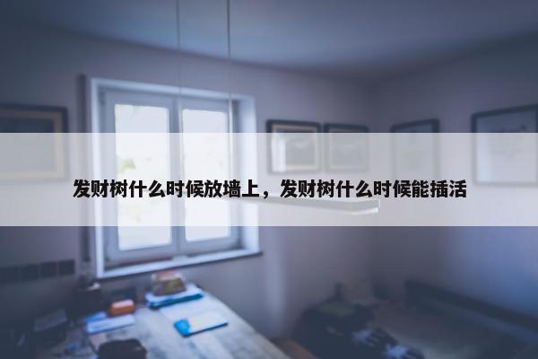 发财树什么时候放墙上，发财树什么时候能插活