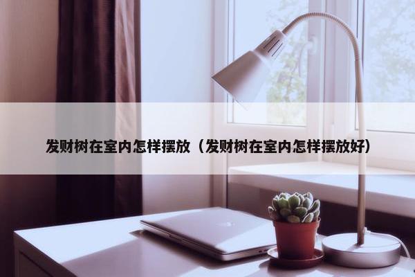 发财树在室内怎样摆放（发财树在室内怎样摆放好）