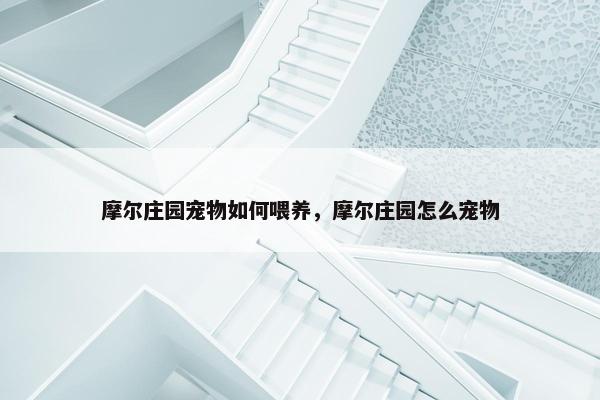 摩尔庄园宠物如何喂养，摩尔庄园怎么宠物