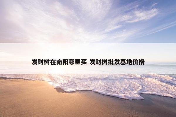 发财树在南阳哪里买 发财树批发基地价格