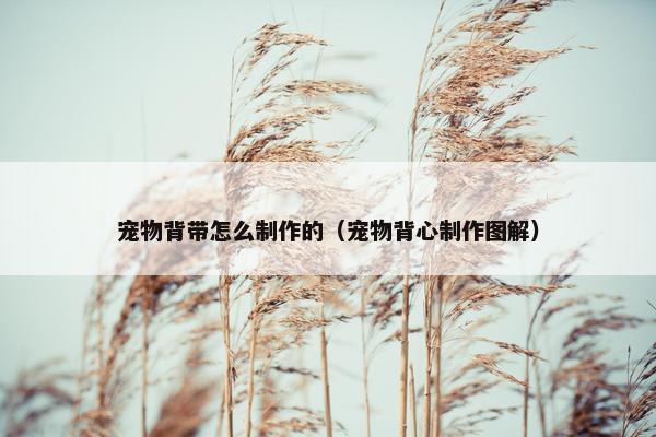 宠物背带怎么制作的（宠物背心制作图解）