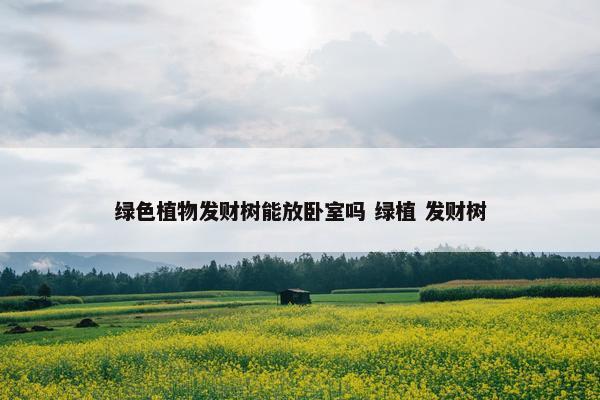 绿色植物发财树能放卧室吗 绿植 发财树