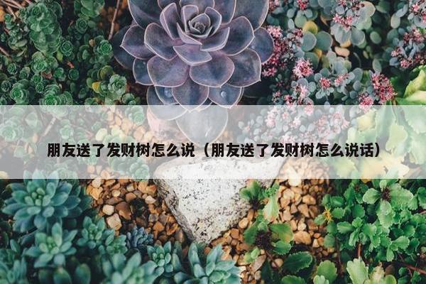 朋友送了发财树怎么说（朋友送了发财树怎么说话）