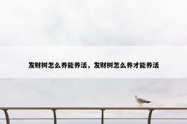 发财树怎么养能养活，发财树怎么养才能养活