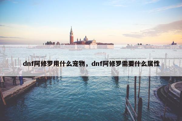 dnf阿修罗用什么宠物，dnf阿修罗需要什么属性