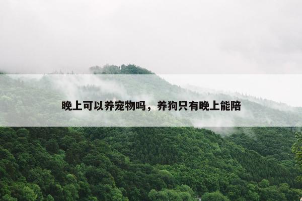 晚上可以养宠物吗，养狗只有晚上能陪