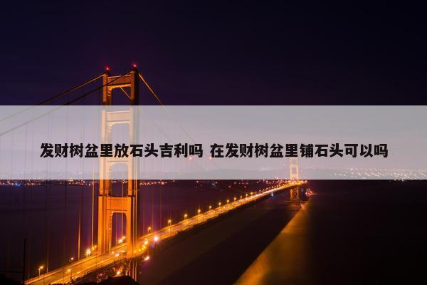 发财树盆里放石头吉利吗 在发财树盆里铺石头可以吗