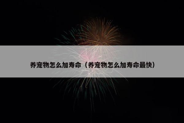 养宠物怎么加寿命（养宠物怎么加寿命最快）