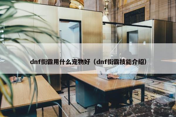 dnf街霸用什么宠物好（dnf街霸技能介绍）