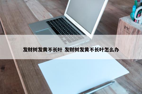 发财树发黄不长叶 发财树发黄不长叶怎么办