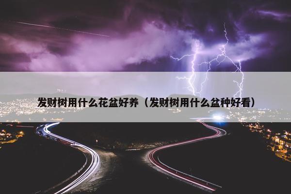 发财树用什么花盆好养（发财树用什么盆种好看）