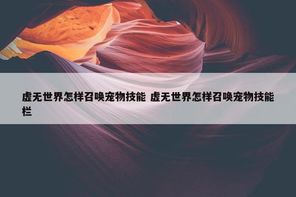 虚无世界怎样召唤宠物技能 虚无世界怎样召唤宠物技能栏