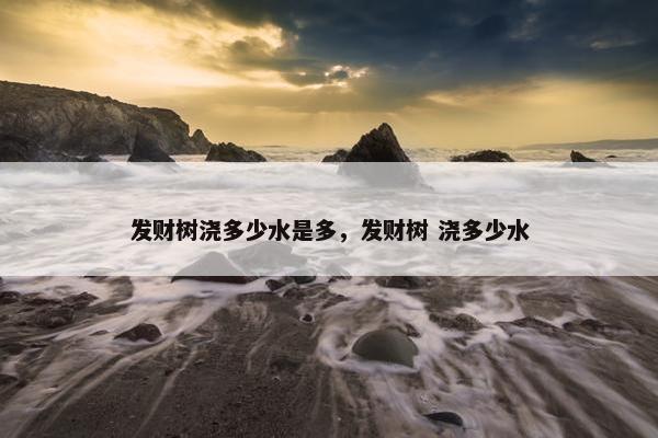 发财树浇多少水是多，发财树 浇多少水