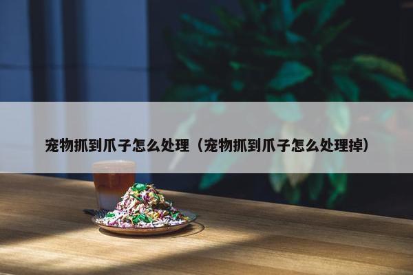 宠物抓到爪子怎么处理（宠物抓到爪子怎么处理掉）