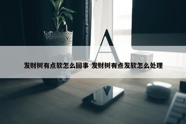 发财树有点软怎么回事 发财树有点发软怎么处理