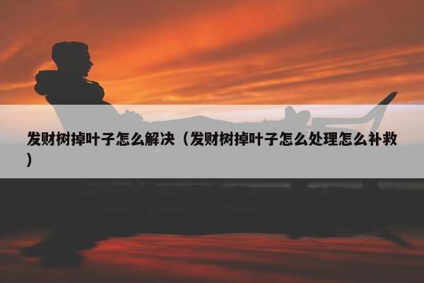 发财树掉叶子怎么解决（发财树掉叶子怎么处理怎么补救）