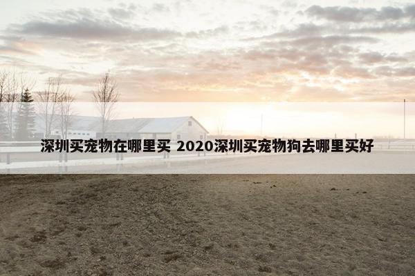 深圳买宠物在哪里买 2020深圳买宠物狗去哪里买好