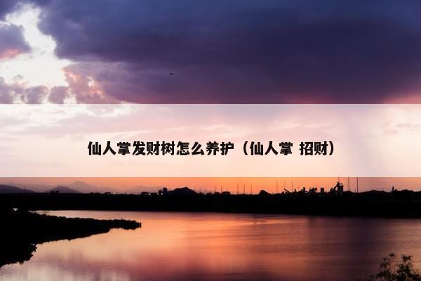 仙人掌发财树怎么养护（仙人掌 招财）