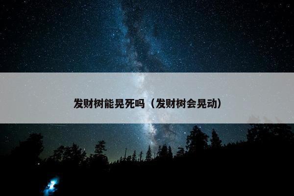 发财树能晃死吗（发财树会晃动）