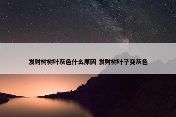 发财树树叶灰色什么原因 发财树叶子变灰色