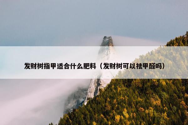 发财树指甲适合什么肥料（发财树可以祛甲醛吗）