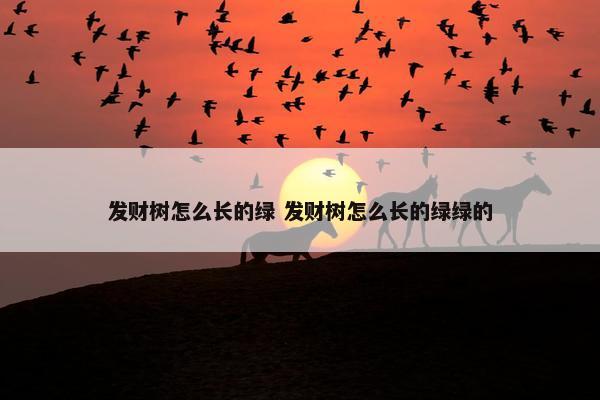 发财树怎么长的绿 发财树怎么长的绿绿的