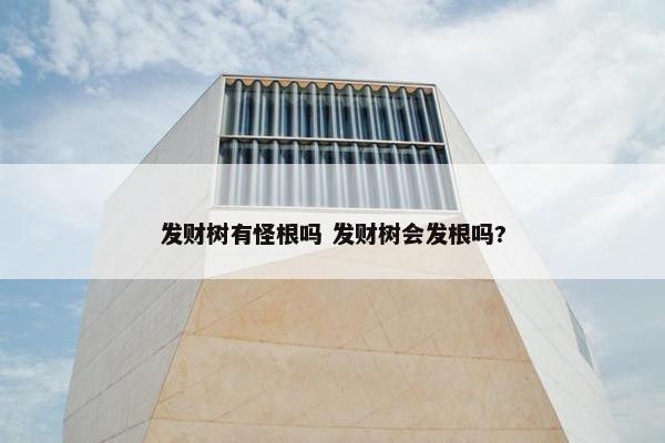 发财树有怪根吗 发财树会发根吗?